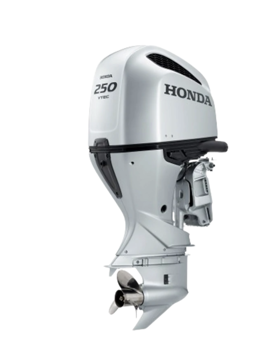 Imagen de BF250