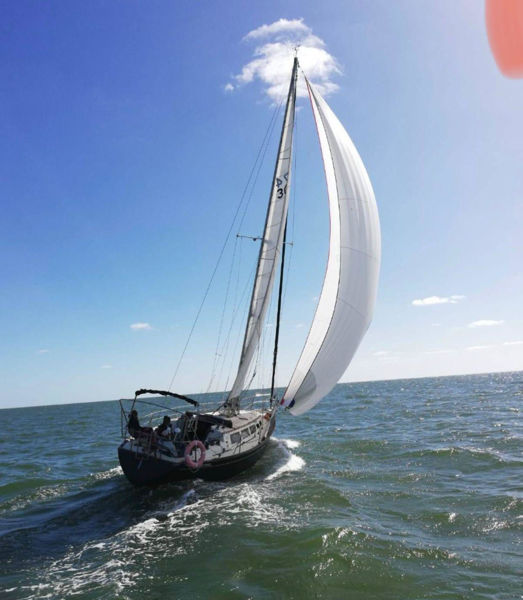 Imagen de Velero S2 36 pies